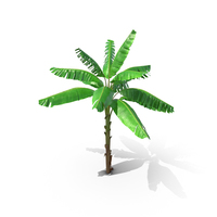 Tall Banana Tree PNG & PSD Images