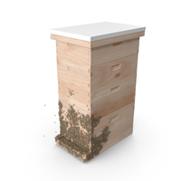 Wooden Beehive Brood Box with Bees PNG & PSD Images