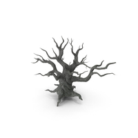 Spooky Old Twisted Tree PNG & PSD Images
