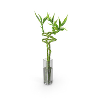 Lucky Bamboo Bouquet PNG & PSD Images