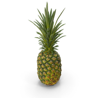 Realistic Whole Pineapple PNG & PSD Images