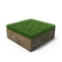 Grass Cross Section with Soil PNG & PSD Images