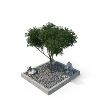 Tree in Gravel Filled Pit PNG & PSD Images