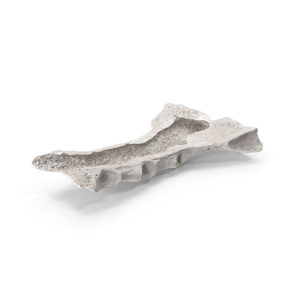 Damaged Open Sternum Breastbone White PNG & PSD Images
