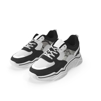Women Sneakers Pair PNG & PSD Images