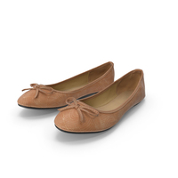 Women Casual Ballerina Shoes Pair PNG & PSD Images
