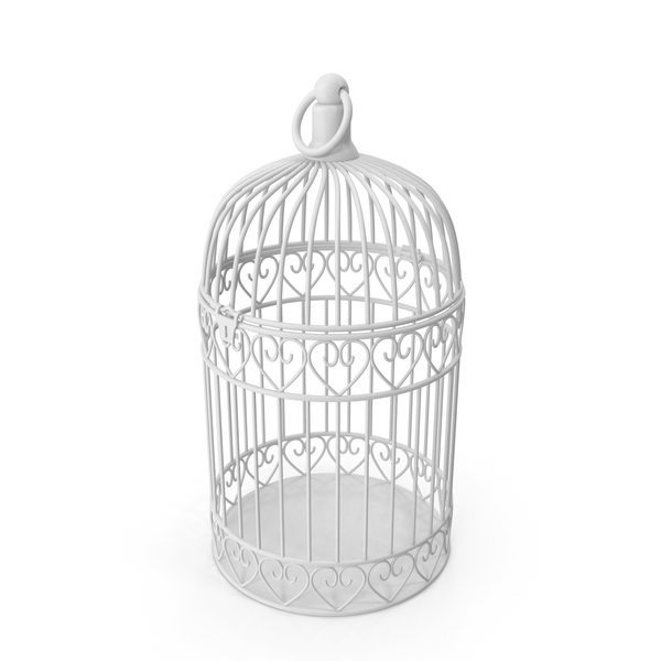 Bird Cage PNG & PSD Images