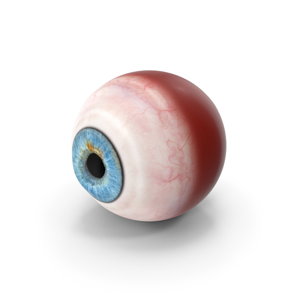 Realistic Human Eye Blue 4K Texture PNG & PSD Images