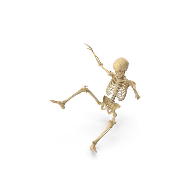 Real Human Female Skeleton Falling PNG & PSD Images