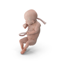 Baby Boy at 32 Weeks PNG & PSD Images