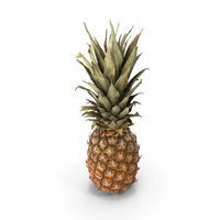 Pineapple PNG & PSD Images