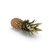 Pineapple PNG & PSD Images