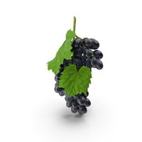 Bunch of Black Grapes PNG & PSD Images