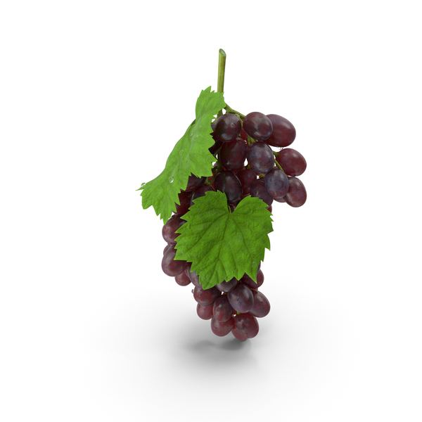 Bunch of Dark Grapes PNG & PSD Images