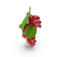 Bunch of Pink Grapes PNG & PSD Images
