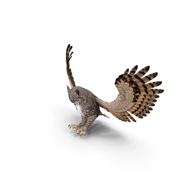 Great Horned Owl Attacking Pose PNG & PSD Images