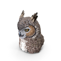 Great Horned Owl Head PNG & PSD Images