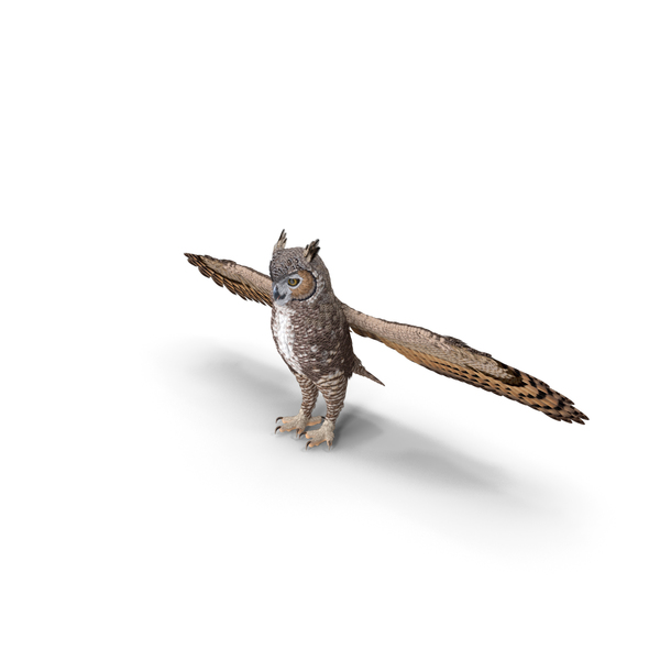 Great Horned Owl T-Pose PNG & PSD Images