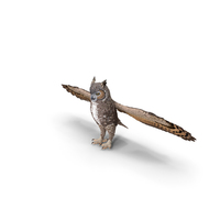 Great Horned Owl T-Pose PNG & PSD Images