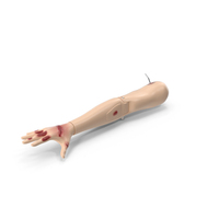 Injured Firstaid Mannequin Arm PNG & PSD Images