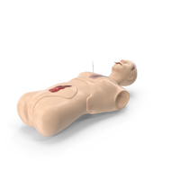 Injured Firstaid Mannequin Body PNG & PSD Images