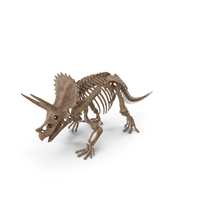 Triceratops Fossil Walking Pose PNG & PSD Images