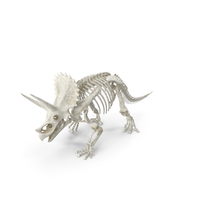 Triceratops Horridus Skeleton Walking Pose PNG & PSD Images