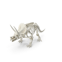 Triceratops Skeleton PNG & PSD Images