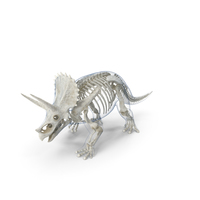 Triceratops Skeleton Walking Pose with Transparent Skin PNG & PSD Images