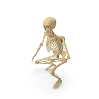 Real Human Female Skeleton Squatting PNG & PSD Images