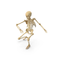 Real Human Female Skeleton Squatting PNG & PSD Images
