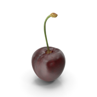 Cherry PNG & PSD Images
