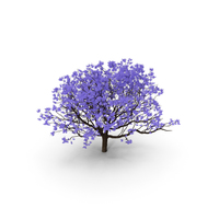 Flowering Tree PNG Images & PSDs for Download | PixelSquid