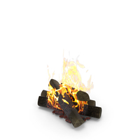 Bonfire Burning PNG & PSD Images