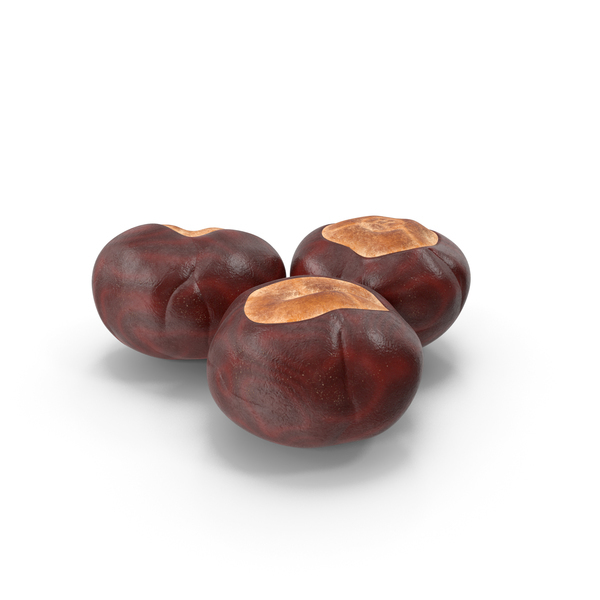 Chestnut Seed PNG & PSD Images