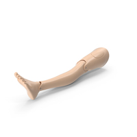 First Aid Training Manikin Leg PNG & PSD Images