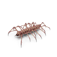 Monster Centipede PNG & PSD Images