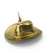 Hat Golden PNG & PSD Images