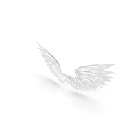 Angel Wings PNG & PSD Images