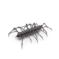 Monster Centipede Black PNG & PSD Images