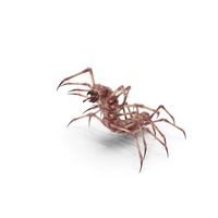 Monster Centipede PNG & PSD Images