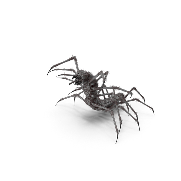 怪物centipede黑色PNG和PSD图像