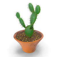 Cactus Single Pot PNG & PSD Images