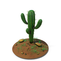 Cactus Single Ground PNG & PSD Images