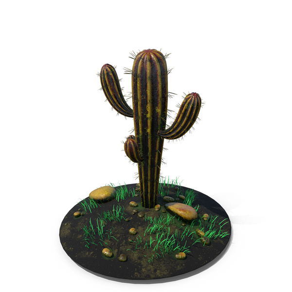 Cactus Single Ground PNG & PSD Images