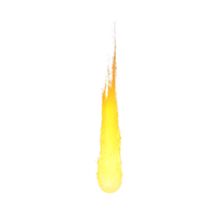Fire 02 02 (meteorit fire) PNG & PSD Images