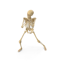 Real Human Female Skeleton Pose PNG & PSD Images