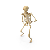Real Human Female Skeleton Pose PNG & PSD Images