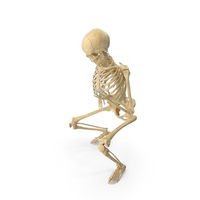 Real Human Female Skeleton Pose PNG & PSD Images