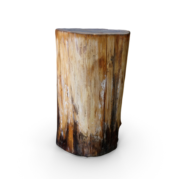 Tree Stump PNG & PSD Images